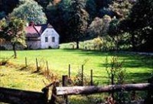 Vienna Woods - Mayerling